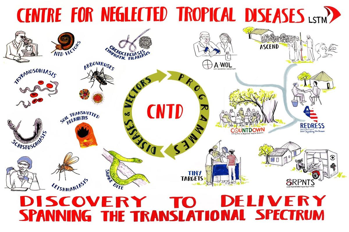 Centre For Neglected Tropical Disease | LSTM